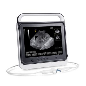 Touch screen veterinario portatile nero e bianco MY-A012-N