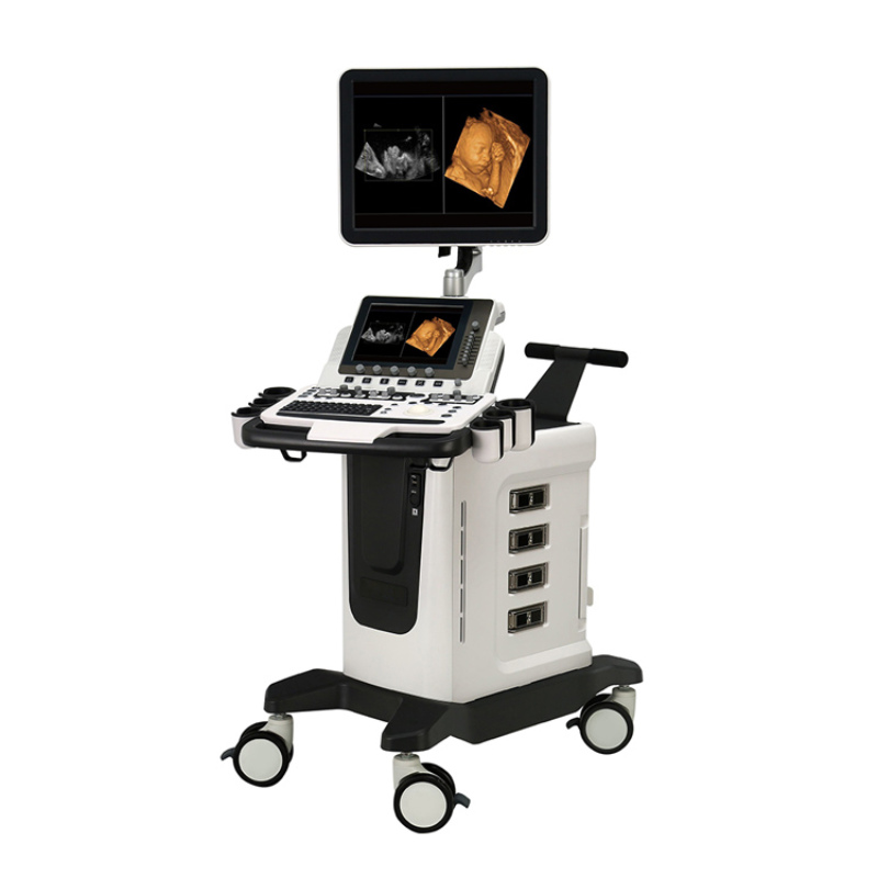 Display ad alta risoluzione da 19 pollici MY-A030-G