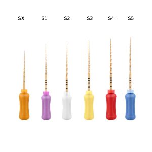 File Endodontici Lime per Endodonzia Strumenti Manuali Ni-Ti Protaper Blister da 6 Pezzi