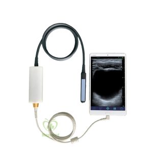 Sonda rettale lineare portatile MY-A010A-E