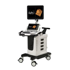 Display ad alta risoluzione da 19 pollici MY-A030-G