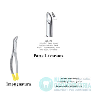 Pinza per Estrazione Gold Denti Decidui Incisivi e Radici Superiori Punta Sabbiata Antiscivolo American Pattern