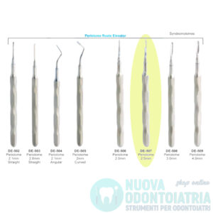 Sindesmotomo Dritto 2
